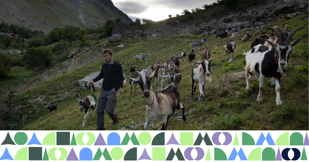 Image for XIV Assises européennes de la montagne : Élevage extensif et pastoralisme