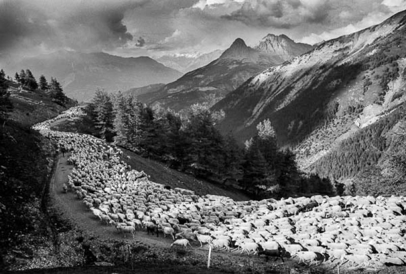Conférence – Diaporama : Pastoralisme et art rupestre dans les Alpes