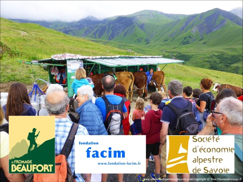 Traite des vaches en alpage, rando patrimoine