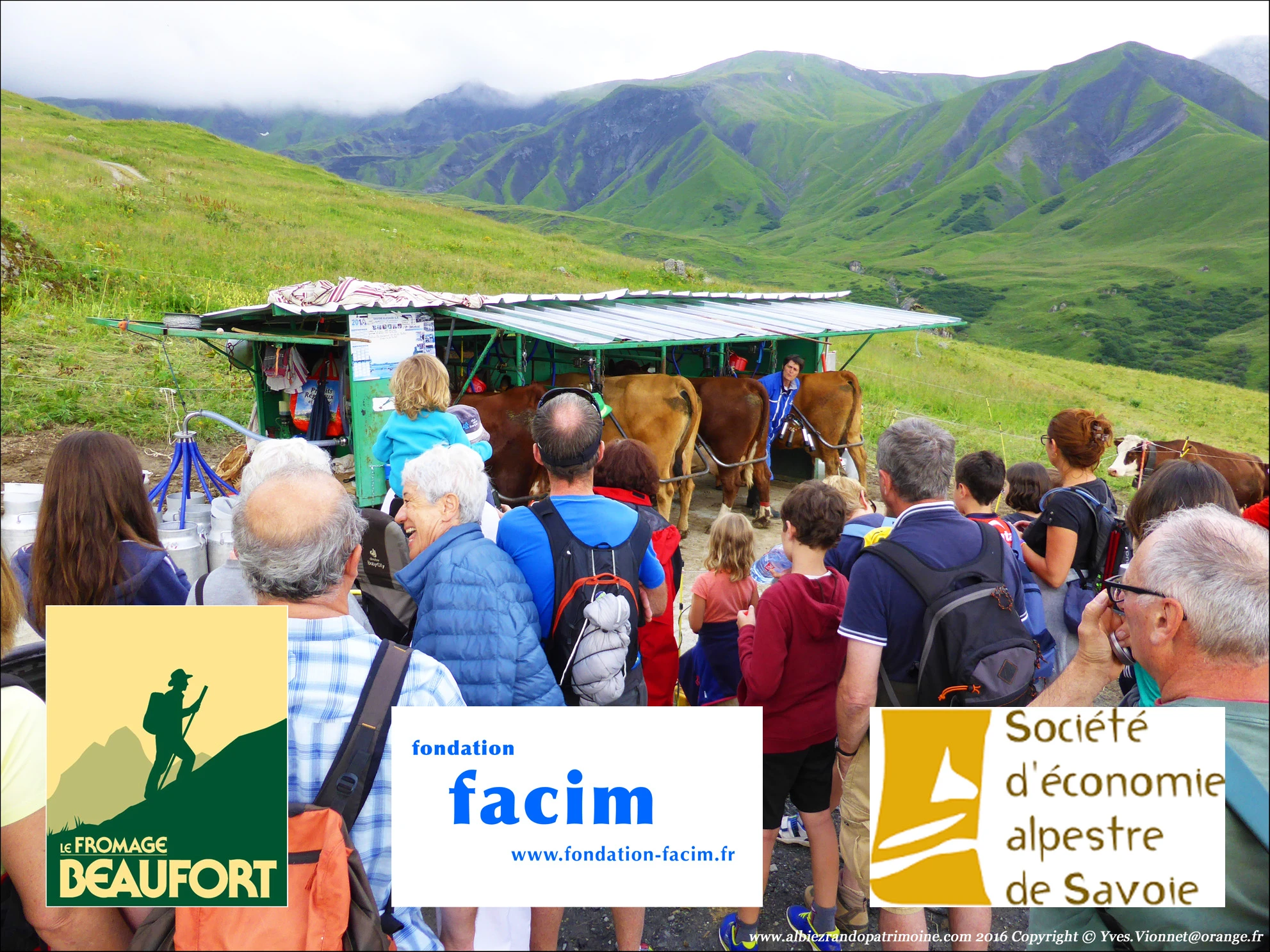 Image for Traite des vaches en alpage, rando patrimoine