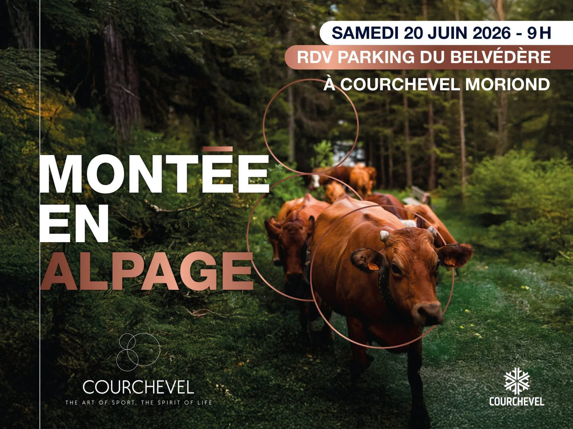Image for Montée en alpage à Courchevel