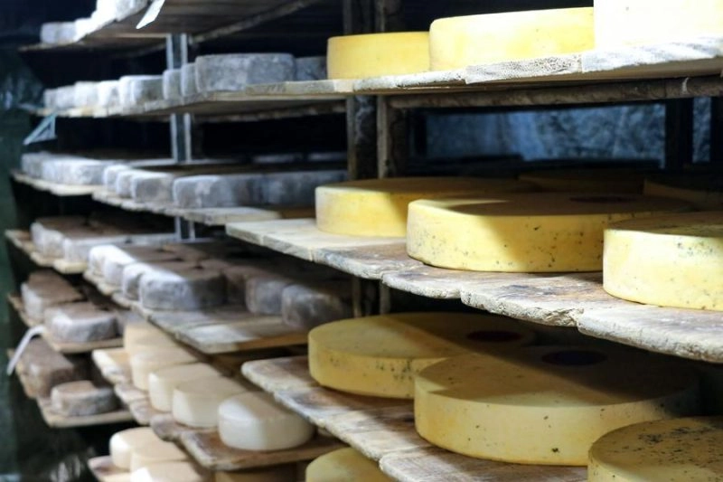 Rencontre à la ferme : visite guidée