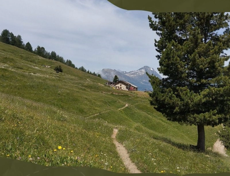 GOÛTER ET TRAITE À L’ALPAGE