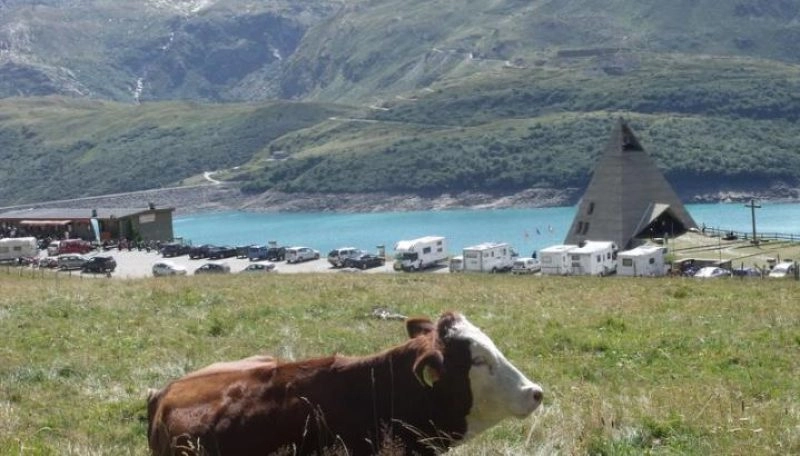 Goûter à la ferme : Découverte gourmande au Mont Cenis