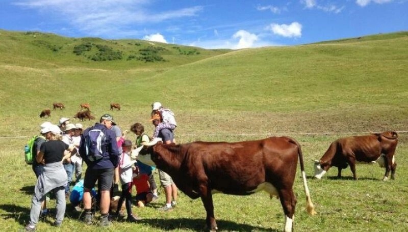 Visite guidée : A la rencontre d’un alpagiste à l’alpage de la Péchette