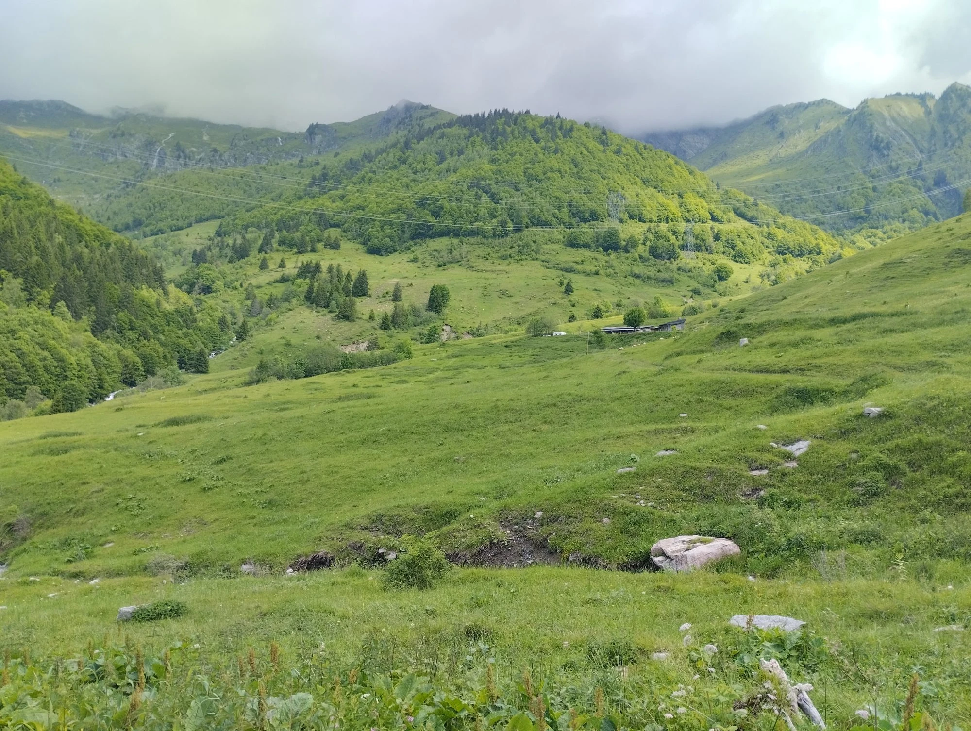 Image for Chantier participatif : remise en état d’un alpage après le passage d’une avalanche !
