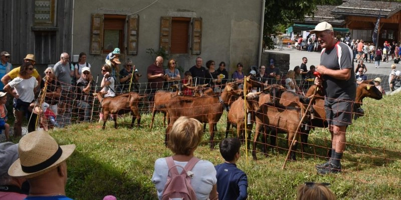 Fête des alpagistes de La Giettaz